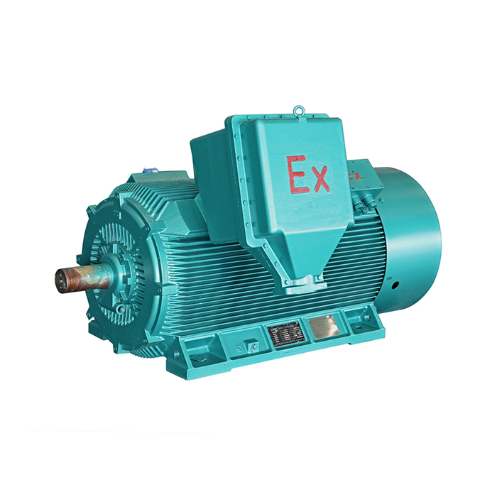 explosion proof electric motor